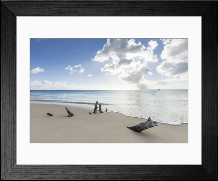 Framed Print : Tree trunks on the beach framed by the crystalline Caribbean Sea, Ffryes Beach, Antigua Framed Print : Tree trunks on the beach framed by the crystalline Caribbean Sea, Ffryes Beach, Antigua