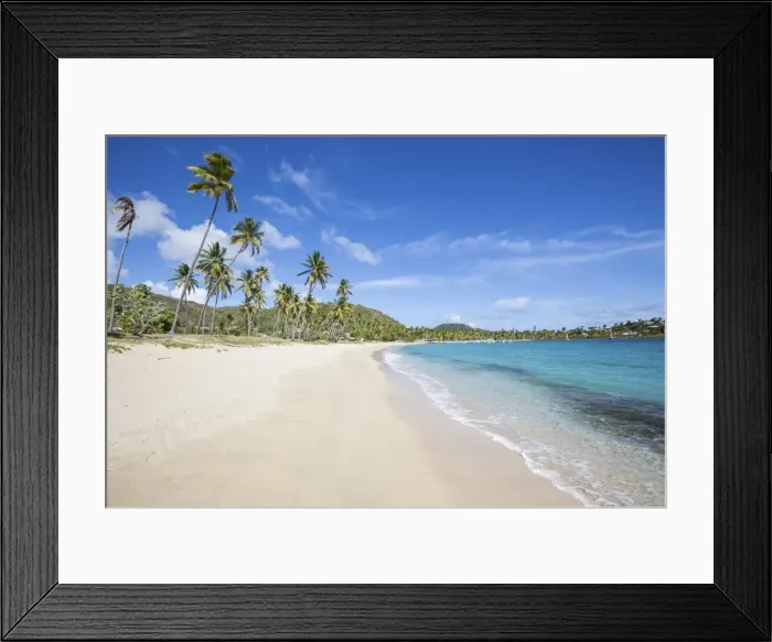Framed Print : The long beach surrounded by palm trees and the Caribbean Sea, Morris Bay, Antigua and Barbuda Framed Print : The long beach surrounded by palm trees and the Caribbean Sea, Morris Bay, Antigua and Barbuda