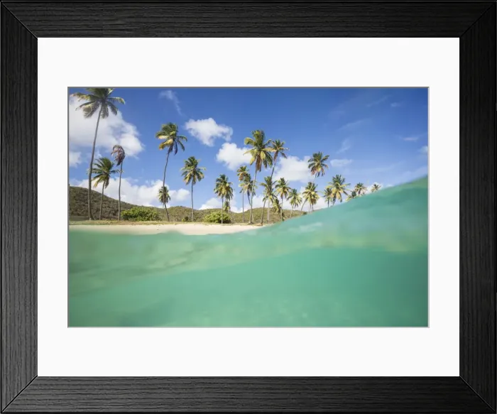 Framed Print : Underwater view of the sandy beach surrounded by palm trees, Morris Bay, Antigua Framed Print : Underwater view of the sandy beach surrounded by palm trees, Morris Bay, Antigua
