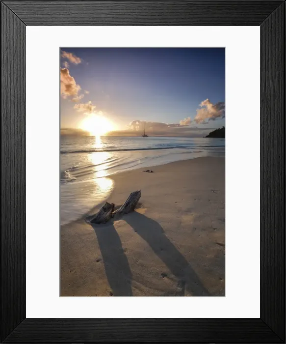 Framed Print : The Caribbean sunset frames the remains of tree trunks on Ffryes Beach, Antigua, Antigua Framed Print : The Caribbean sunset frames the remains of tree trunks on Ffryes Beach, Antigua, Antigua