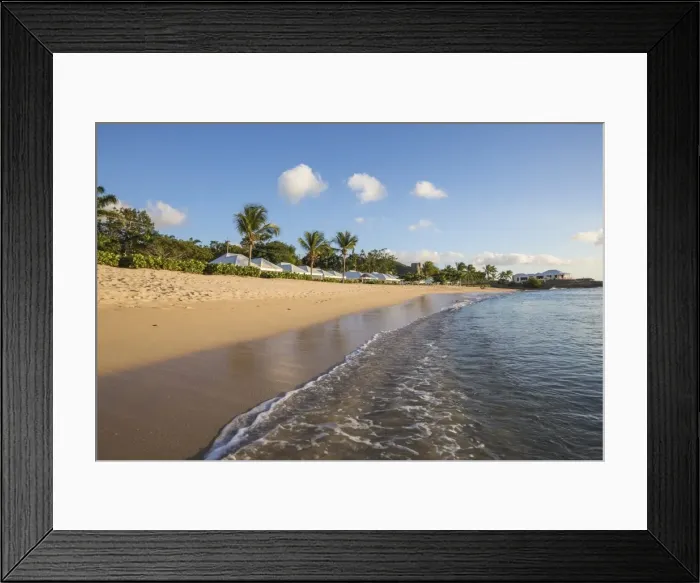 Framed Print : Blue sky and palm trees frame the beach and the Caribbean sea, Hawksbill Bay, Antigua Framed Print : Blue sky and palm trees frame the beach and the Caribbean sea, Hawksbill Bay, Antigua