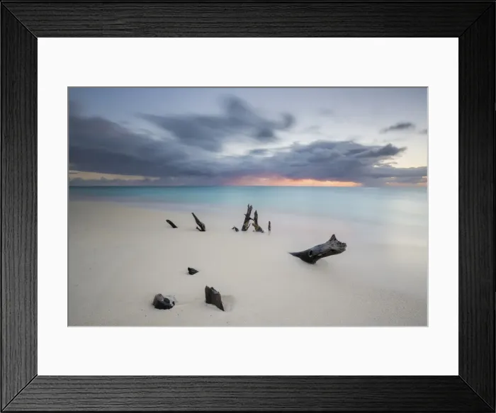 Framed Print : Caribbean sunset frames tree trunks on Ffryes Beach, Antigua, Antigua and Barbuda Framed Print : Caribbean sunset frames tree trunks on Ffryes Beach, Antigua, Antigua and Barbuda