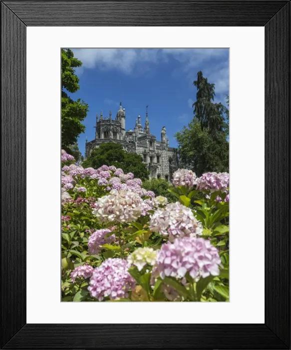 Framed Print : Flowers frame old mystical buildings of Romanesque Gothic and Renaissance style Framed Print : Flowers frame old mystical buildings of Romanesque Gothic and Renaissance style