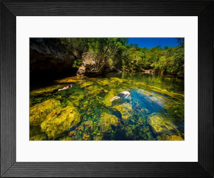 Framed Print : Couple snorkels in the cenotes of Chiken-ha, Tulum, Mexico, North America Framed Print : Couple snorkels in the cenotes of Chiken-ha, Tulum, Mexico, North America