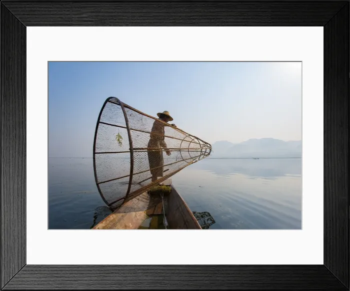 Framed Print : A basket fisherman on Inle Lake prepares to plunge his cone shaped net, Shan State Framed Print : A basket fisherman on Inle Lake prepares to plunge his cone shaped net, Shan State