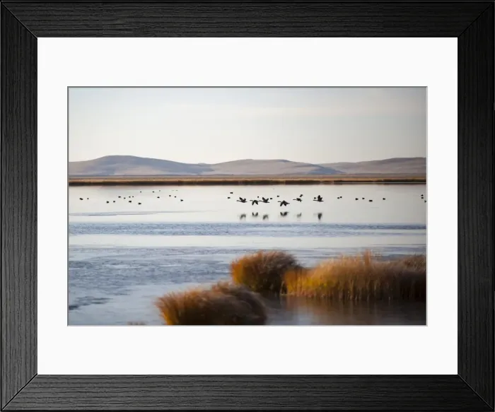 Framed Print : Huahu (Flower Lake), an important sanctuary for birds, Sichuan, China, Asia Framed Print : Huahu (Flower Lake), an important sanctuary for birds, Sichuan, China, Asia