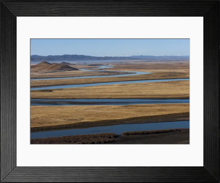 Framed Print : Distant yaks graze on the banks of the Yellow River in Sichuan Province, China, Asia Framed Print : Distant yaks graze on the banks of the Yellow River in Sichuan Province, China, Asia