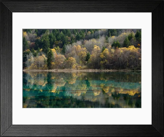Framed Print : Jiuzhaigou on the edge of the Tibetan Plateau, known for its waterfalls and colourful lakes Framed Print : Jiuzhaigou on the edge of the Tibetan Plateau, known for its waterfalls and colourful lakes