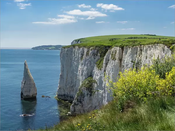 The Chalk cliffs of Ballard Down with The Pinnacles Stack in Swanage Bay, near Handfast Point