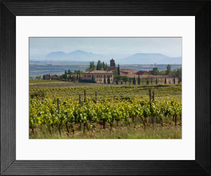 Framed Print : Idyllic vineyard in La Rioja, Spain, Europe Framed Print : Idyllic vineyard in La Rioja, Spain, Europe