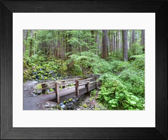 Framed Print : Foot Bridge, Trail to Sol Duc Falls, Rain Forest, Olympic National Park, UNESCO World Heritage Site Framed Print : Foot Bridge, Trail to Sol Duc Falls, Rain Forest, Olympic National Park, UNESCO World Heritage Site
