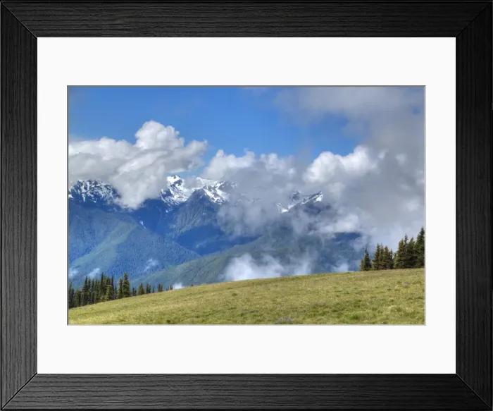 Framed Print : Hurricane Ridge, Olympic National Park, UNESCO World Heritage Site, Washington, United Framed Print : Hurricane Ridge, Olympic National Park, UNESCO World Heritage Site, Washington, United