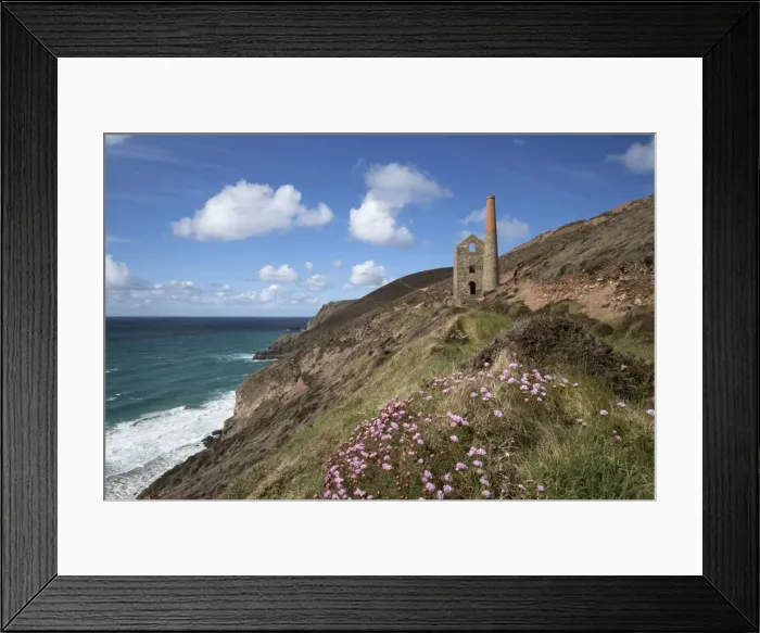 Framed Print : Wheal Coates Engine House, UNESCO World Heritage Site, and coastline with thrift flowers, St Framed Print : Wheal Coates Engine House, UNESCO World Heritage Site, and coastline with thrift flowers, St