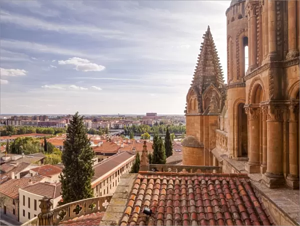 The cathedral in Salamanca, UNESCO World Heritage Site, Castile and Leon, Spain, Europe