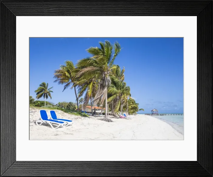 Framed Print : Palm trees and beach, Playa El Paso, Cayo Guillermo, Jardines del Rey, Ciego de Avila Province Framed Print : Palm trees and beach, Playa El Paso, Cayo Guillermo, Jardines del Rey, Ciego de Avila Province