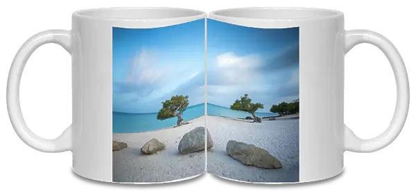Divi Divi Trees on Eagle Beach, Aruba, Lesser Antilles, Netherlands Antilles, Caribbean
