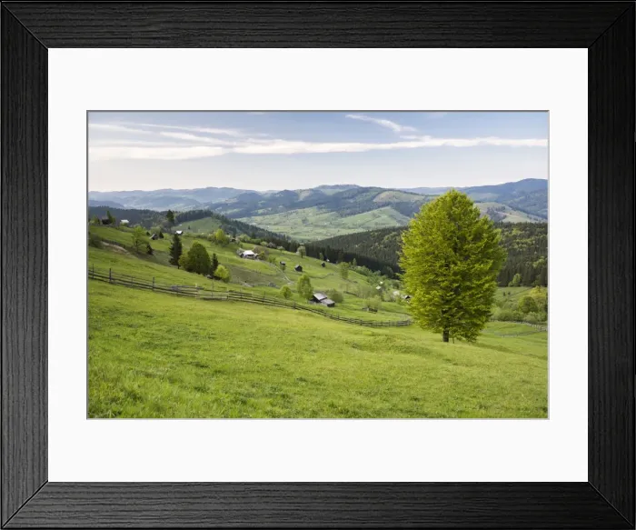 Framed Print : Bukovina Region (Bucovina) landscape at Paltinu, Romania, Europe Framed Print : Bukovina Region (Bucovina) landscape at Paltinu, Romania, Europe