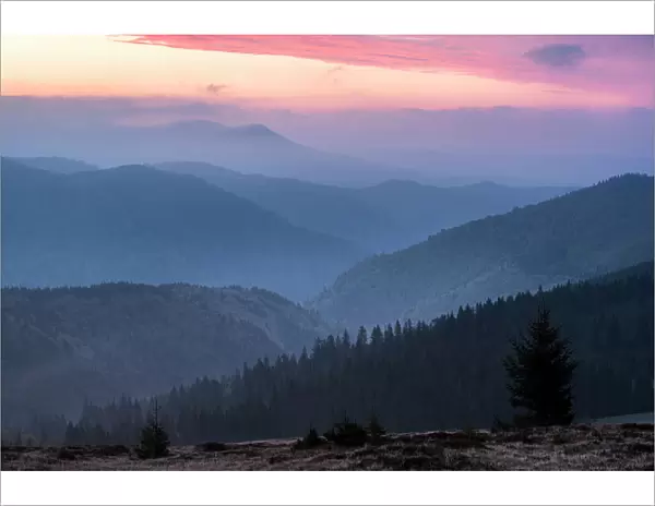 Carpathian Mountains landscape during a misty sunrise, Ranca, Oltenia Region, Romania