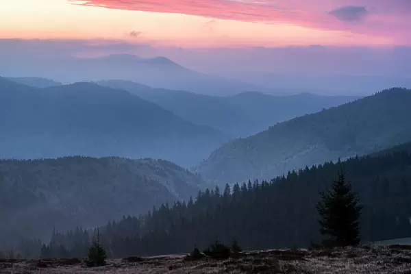 Carpathian Mountains landscape during a misty sunrise, Ranca, Oltenia Region, Romania