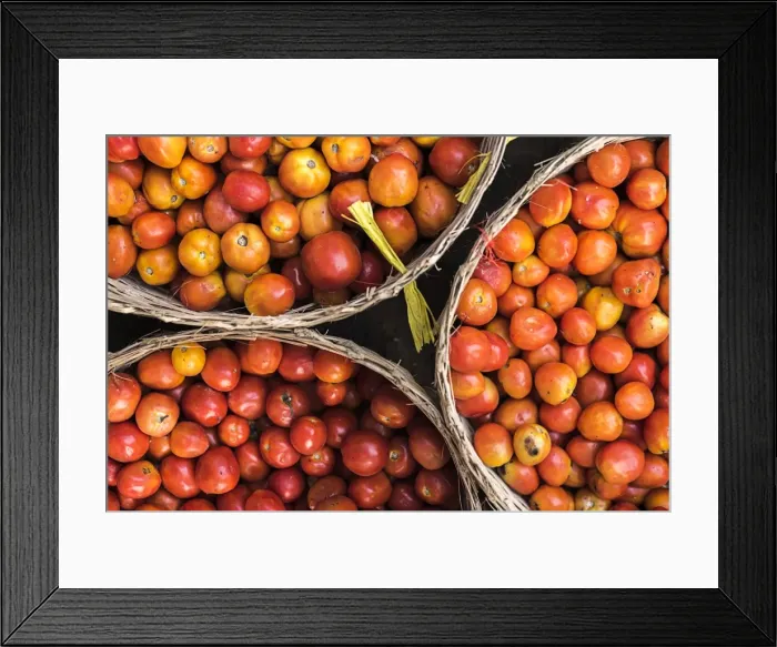 Framed Print : Tomatoes at Hpa An Morning Market, Kayin State (Karen State), Myanmar (Burma), Asia Framed Print : Tomatoes at Hpa An Morning Market, Kayin State (Karen State), Myanmar (Burma), Asia