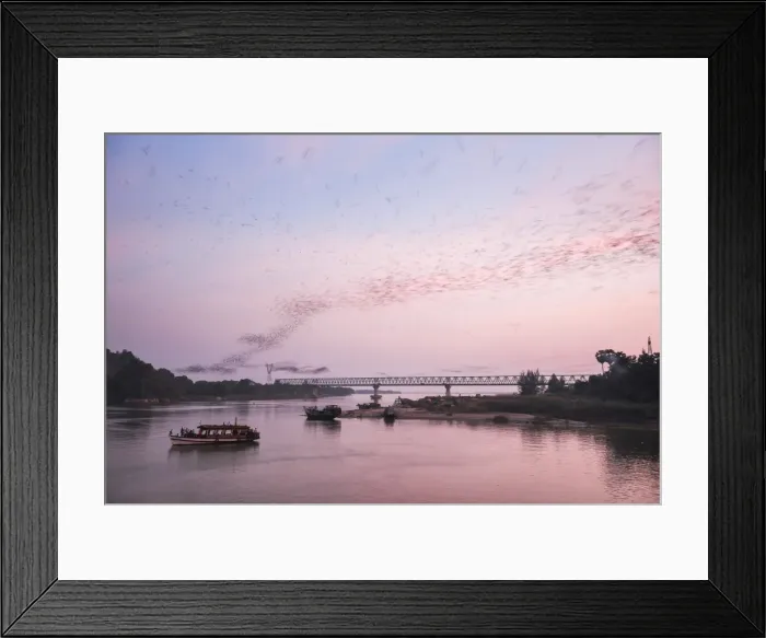 Framed Print : Bats swarming out of the Bat Cave at sunset, Hpa An, Kayin State (Karen State), Myanmar (Burma) Framed Print : Bats swarming out of the Bat Cave at sunset, Hpa An, Kayin State (Karen State), Myanmar (Burma)