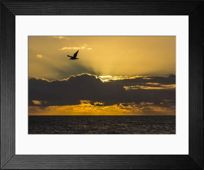 Framed Print : Sunrise near Punta Colorado, San Jose Island, Baja California Sur, Mexico, North America Framed Print : Sunrise near Punta Colorado, San Jose Island, Baja California Sur, Mexico, North America
