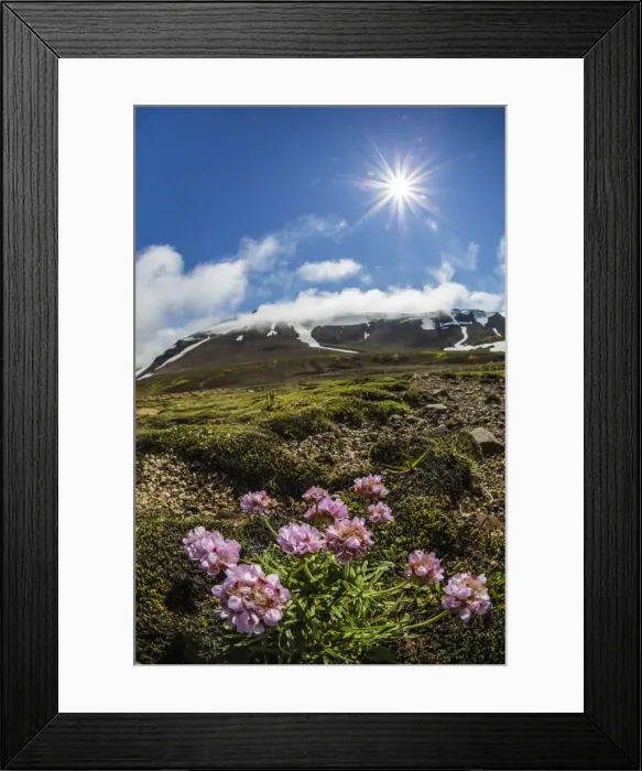 Framed Print : A view of the stratovolcano Snaefellsjokull, Snaefellsnes National Park, Snaefellsnes Peninsula Framed Print : A view of the stratovolcano Snaefellsjokull, Snaefellsnes National Park, Snaefellsnes Peninsula