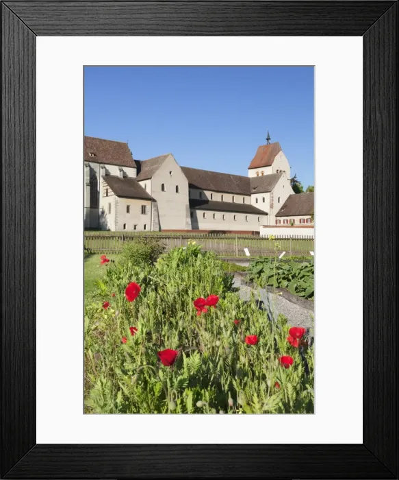 Framed Print : Herb garden, St. Maria und Markus Cathedral, Mittelzell, UNESCO World Heritage Site Framed Print : Herb garden, St. Maria und Markus Cathedral, Mittelzell, UNESCO World Heritage Site