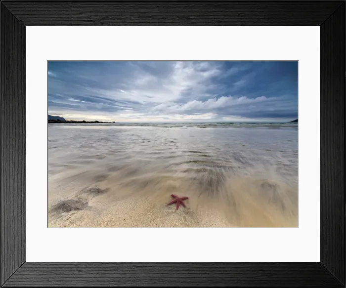Framed Print : Sea star in the clear water of the fine sandy beach, Skagsanden, Ramberg, Nordland county Framed Print : Sea star in the clear water of the fine sandy beach, Skagsanden, Ramberg, Nordland county