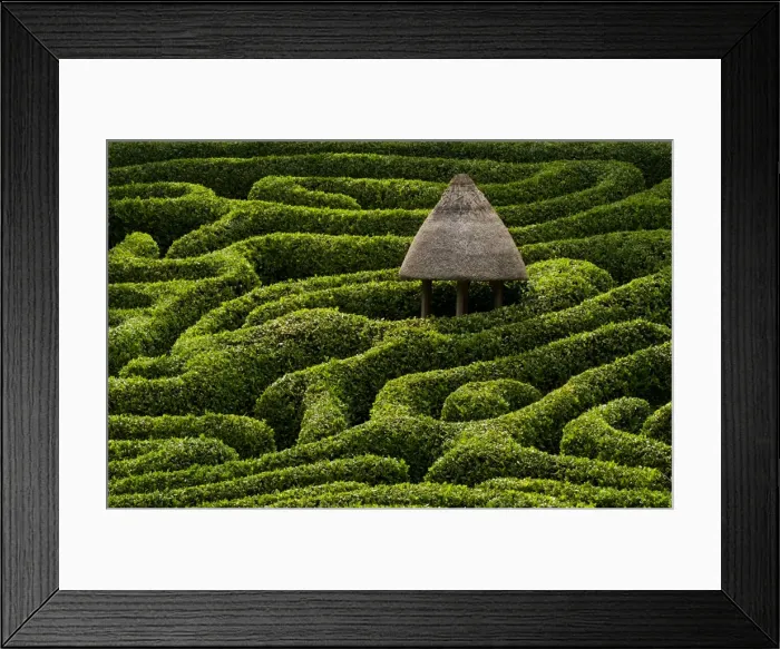Framed Print : A maze in Glendurgan Garden on the Lizard peninsula in Cornwall, England, United Kingdom Framed Print : A maze in Glendurgan Garden on the Lizard peninsula in Cornwall, England, United Kingdom