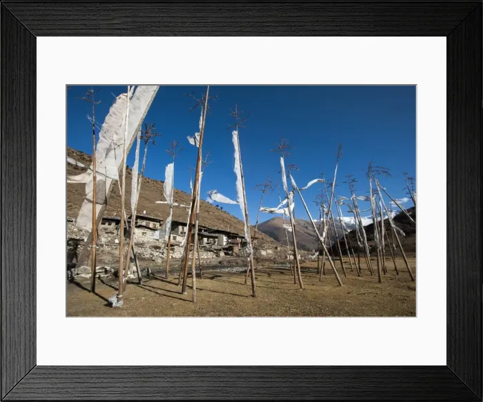 Framed Print : Prayer flags at the small village of Chebisa in northern Bhutan on the Laya-Gasa trekking route Framed Print : Prayer flags at the small village of Chebisa in northern Bhutan on the Laya-Gasa trekking route