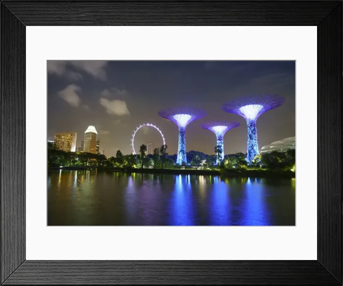 Framed Print : Supertree Grove in the Gardens by the Bay, a futuristic botanical gardens and park