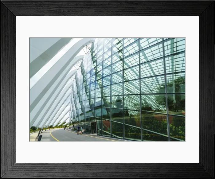 Framed Print : One of the futuristic conservatories at the Gardens by the Bay botanical gardens Framed Print : One of the futuristic conservatories at the Gardens by the Bay botanical gardens