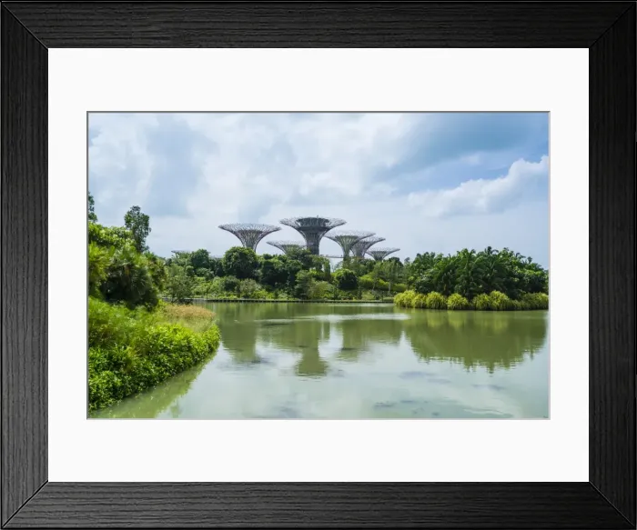 Framed Print : Supertree Grove in the Gardens by the Bay, a futuristic botanical gardens and park Framed Print : Supertree Grove in the Gardens by the Bay, a futuristic botanical gardens and park