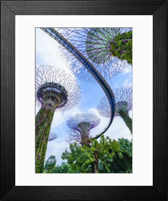 Framed Print : Supertree Grove in the Gardens by the Bay, a futuristic botanical gardens and park Framed Print : Supertree Grove in the Gardens by the Bay, a futuristic botanical gardens and park