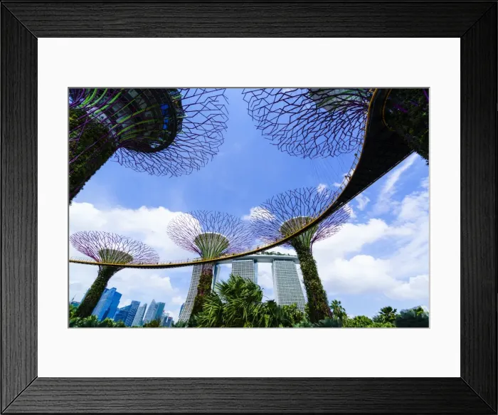Framed Print : Supertree Grove in the Gardens by the Bay, a futuristic botanical gardens and park Framed Print : Supertree Grove in the Gardens by the Bay, a futuristic botanical gardens and park