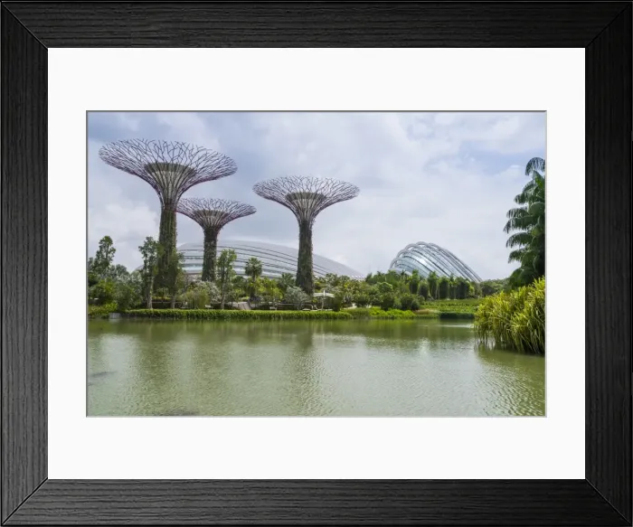 Framed Print : Supertree Grove in the Gardens by the Bay, a futuristic botanical gardens and park Framed Print : Supertree Grove in the Gardens by the Bay, a futuristic botanical gardens and park