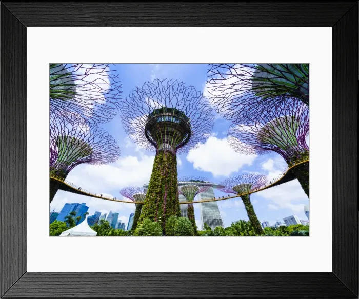 Framed Print : Supertree Grove in the Gardens by the Bay, a futuristic botanical gardens and park Framed Print : Supertree Grove in the Gardens by the Bay, a futuristic botanical gardens and park