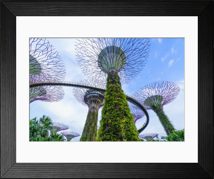 Framed Print : Supertree Grove in the Gardens by the Bay, a futuristic botanical gardens and park Framed Print : Supertree Grove in the Gardens by the Bay, a futuristic botanical gardens and park
