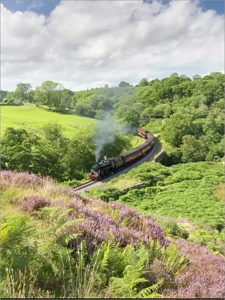 A steam locomotive pulling carriages through Darnholme on the North Yorkshire Steam