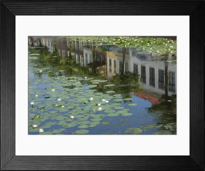 Framed Print : Canal scene with reflections and floating lilies, Delft, Holland, Europe Framed Print : Canal scene with reflections and floating lilies, Delft, Holland, Europe