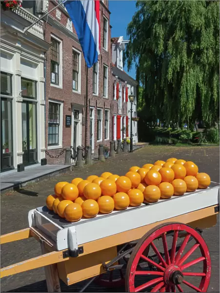 Edam cheese balls, Edam, Holland, Europe