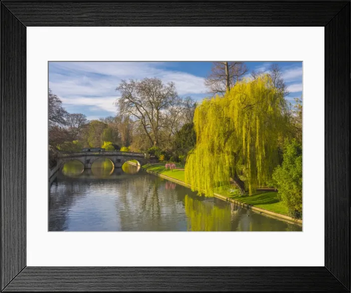 Framed Print : The Backs, River Cam, Cambridge, Cambridgeshire, England, United Kingdom, Europe Framed Print : The Backs, River Cam, Cambridge, Cambridgeshire, England, United Kingdom, Europe