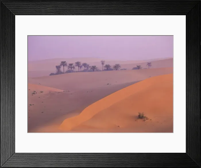 Framed Print : Remah Desert, Al Ain, Abu Dhabi, United Arab Emirates, Middle East Framed Print : Remah Desert, Al Ain, Abu Dhabi, United Arab Emirates, Middle East