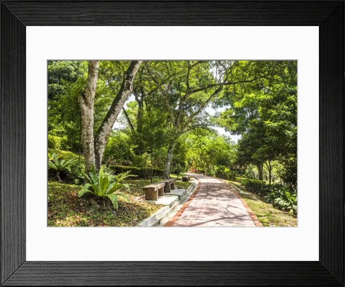 Framed Print : Perdana Botanical Garden, Tun Abdul Razak Heritage Park, Kuala Lumpur, Malaysia, Southeast Asia Framed Print : Perdana Botanical Garden, Tun Abdul Razak Heritage Park, Kuala Lumpur, Malaysia, Southeast Asia