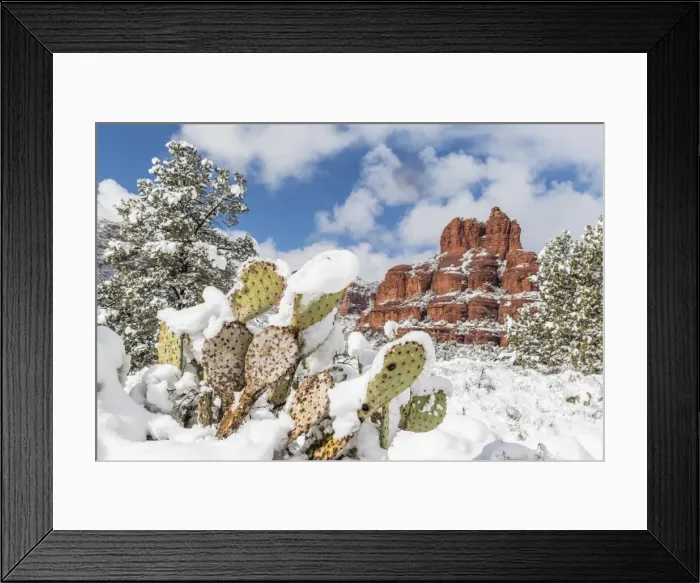 Framed Print : Bell Rock after a snow storm near Sedona, Arizona, United States of America, North Framed Print : Bell Rock after a snow storm near Sedona, Arizona, United States of America, North
