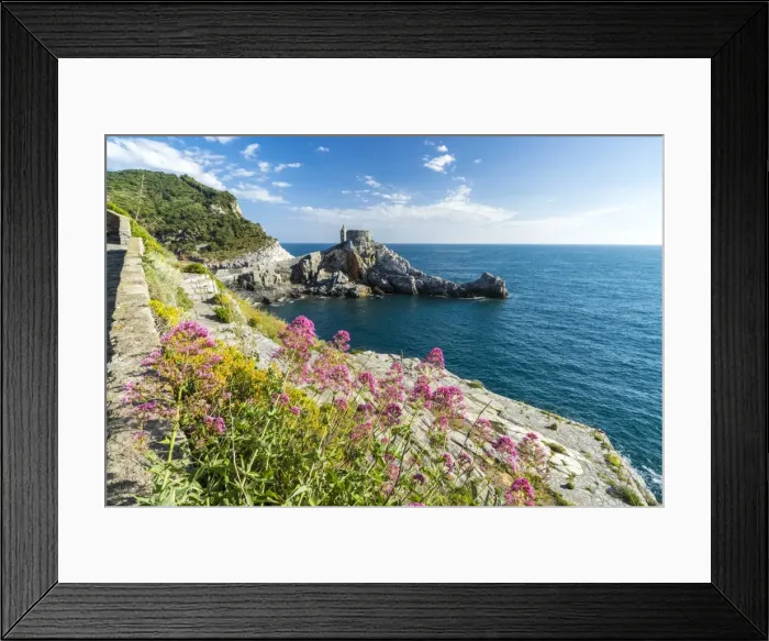 Framed Print : Flowers and blue sea frame the old castle and church on the promontory, Portovenere Framed Print : Flowers and blue sea frame the old castle and church on the promontory, Portovenere