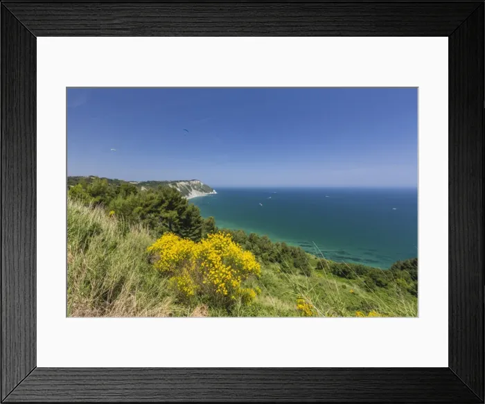 Framed Print : Yellow flowers on the promontory overlooking the turquoise sea, Province of Ancona Framed Print : Yellow flowers on the promontory overlooking the turquoise sea, Province of Ancona