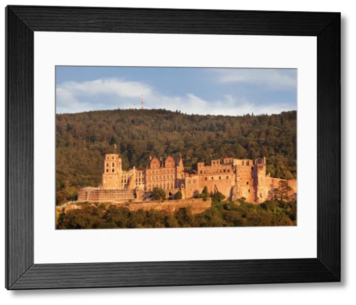Framed Print : Castle at sunset, Heidelberg, Baden-Wurttemberg, Germany, Europe Framed Print : Castle at sunset, Heidelberg, Baden-Wurttemberg, Germany, Europe