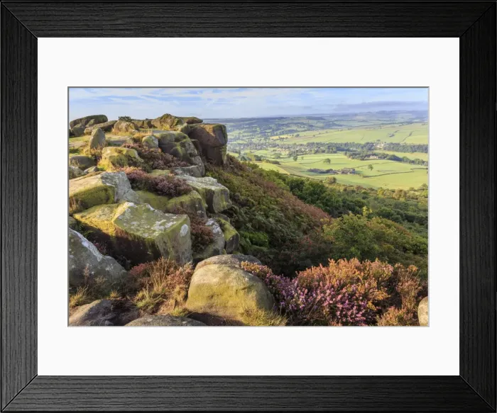 Framed Print : Baslow Edge, early autumn heather, view to Baslow village, Peak District National Park Framed Print : Baslow Edge, early autumn heather, view to Baslow village, Peak District National Park